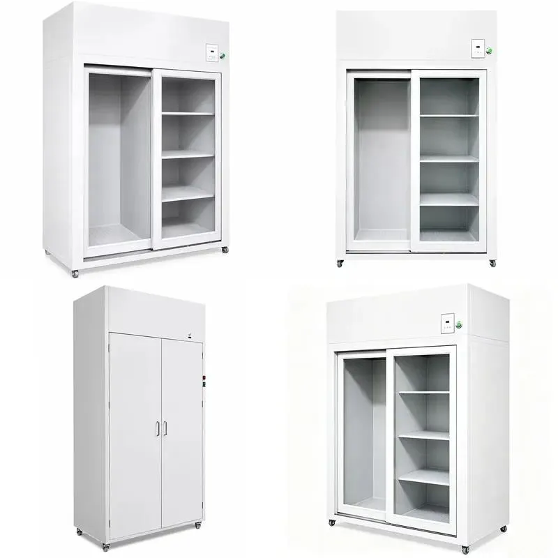Clean Room HEPA Filter Storage Cabinet 99.99% Filtration Efficiency Dust Free Design for Laboratory Industrial Use
