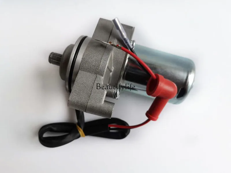 Oil and Electricity Dual-Purpose Three Wheeled Motorcycle Engine 60V Starting Motor Motor