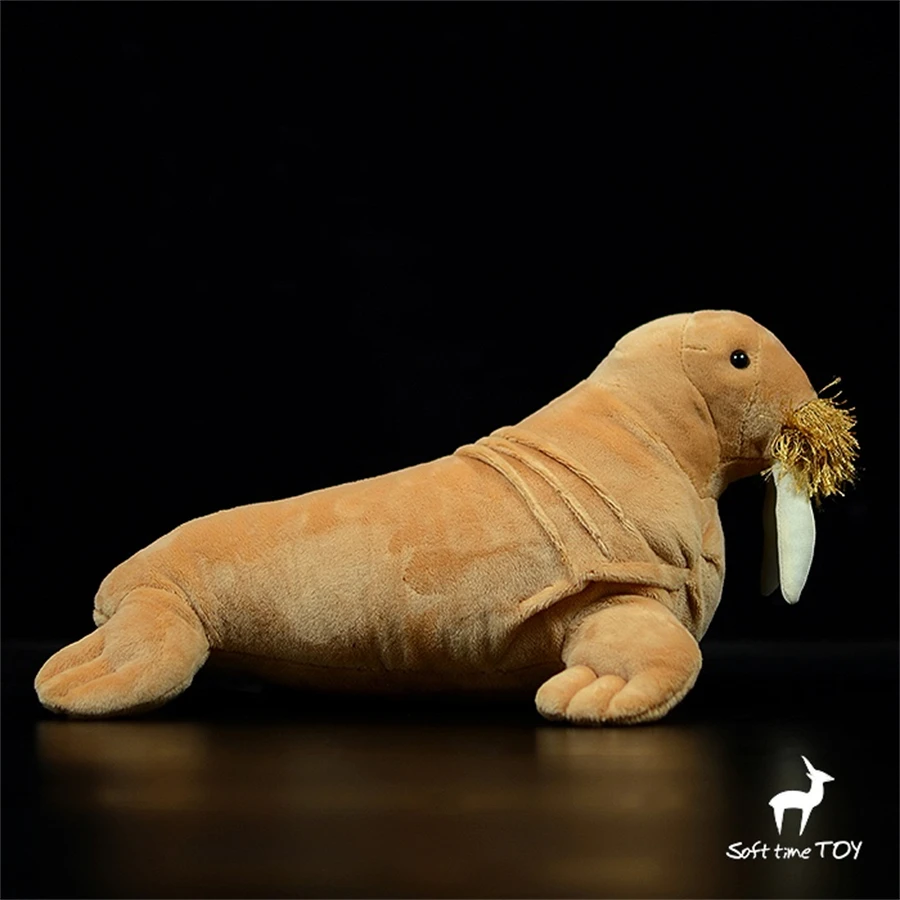 لعبة الفظ القطيفة النابضة بالحياة - حيوان محشو واقعي، بقرة البحر بلوشي، هدية دمية مورس المحاكاة