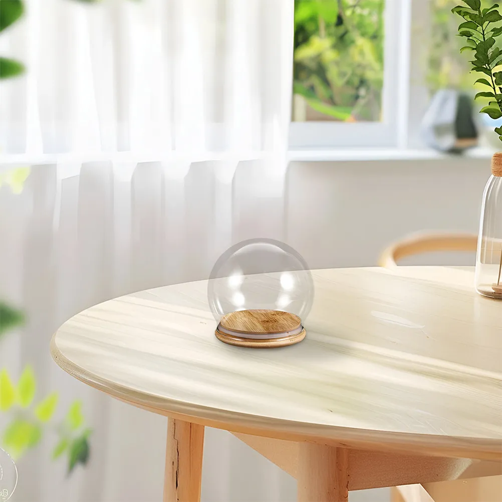 2Pcs Snow Globe Display Dome Clear Glass Cloche Round Floral Cover Wood Base Eternal Flower Decor Showcase Stand