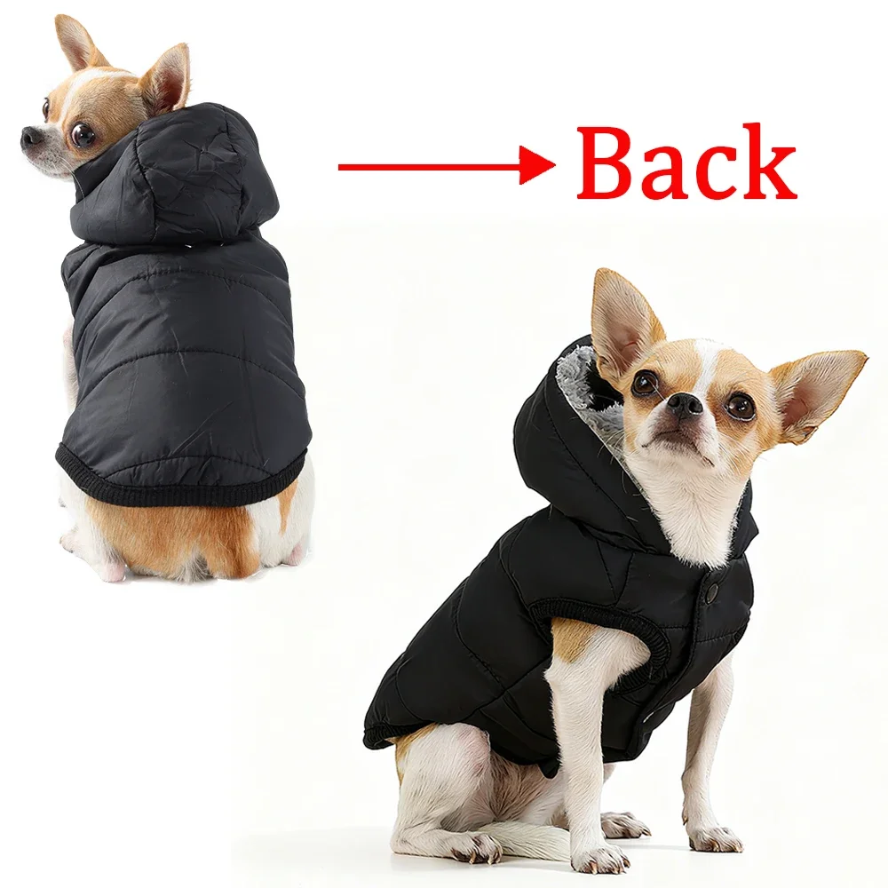 Thumbnail 4 - #2 Trending Puppy Coats Right Now