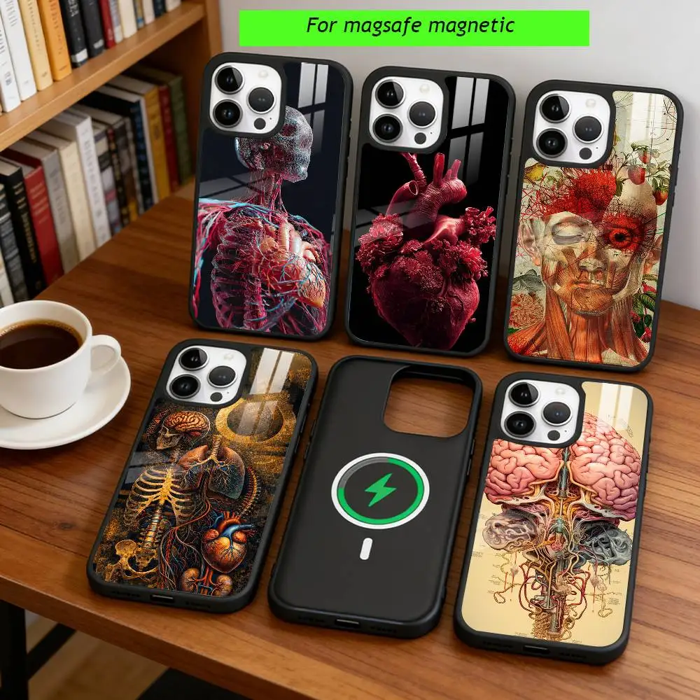 

Human Anatomy Medical Phone Case For iPhone17,16,15,14,13,12,11 Plus,Pro Magnetic For Magsafe Wireless Charging