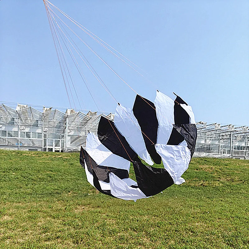 Giant kites Pendant flying outdoor game kids kites factory Chinese kite tails sports beach toy steering kite trilobite kites koi view 6