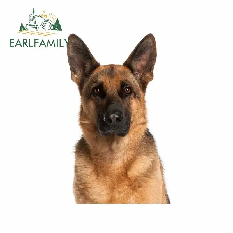 EARLFAMILY 13cm x 8.2cm German Shepherd Peek Car Stickers Serious Animal Sharp Ears Decals Fashion Occlusion Scratch Decoration