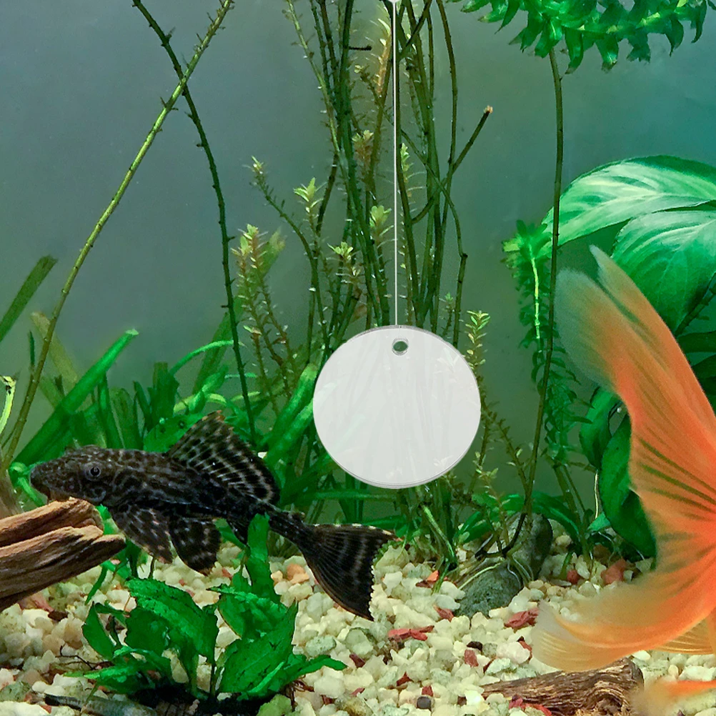 

Betta Training Floating Sucker Acrylic Decor Fish Tank Accessories Circle Exercise Mirror for Betta Pond Mirror Aquarium