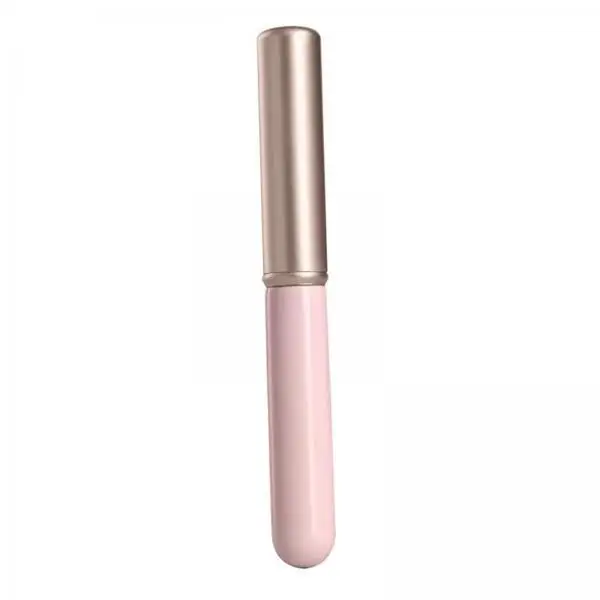 Lip Makeup Brush Professional Concealer Tool Mini Lipstick Applicator Compact Makeup Brushes for Travel Stage Use