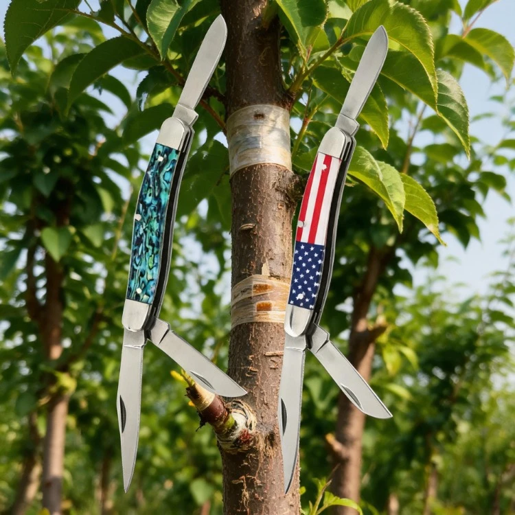 Mini 3‑in‑1 Folding Knife – Multipurpose Grafting & Pruning Tool, Acrylic Handle, 420J2 Stainless Steel Blade, Garden Edging