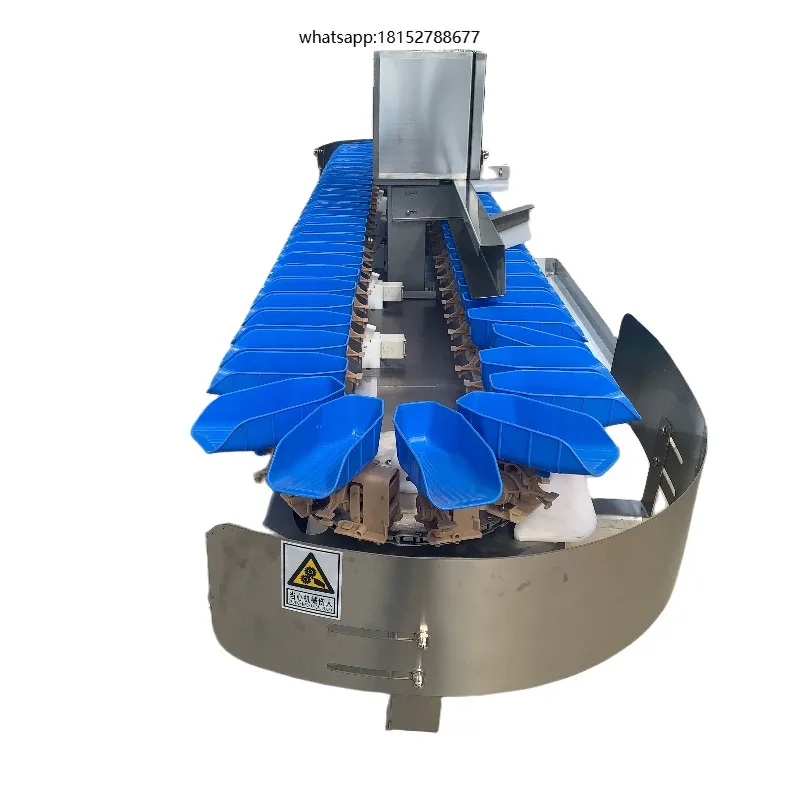 Hot Sale Industry Automatic Food Sorter Fish Weight Sorting Shrimp Weight Grader Advanced Seafood Grading Machine
