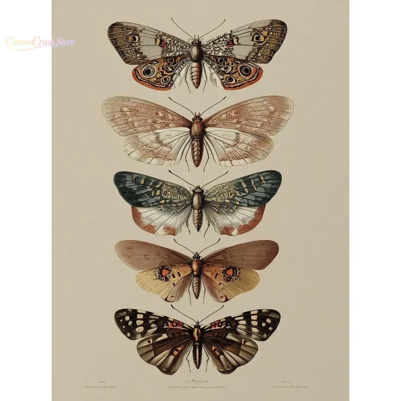Vintage Insects Moth,Butterfly,Beetle Botanical Sketch Poster HD Prints Canvas Painting Wall Art Pictures Home Decor 2026