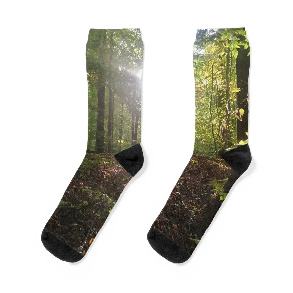 

Walk in the Woods Socks Toe sports funny gift hockey Socks Ladies Men's