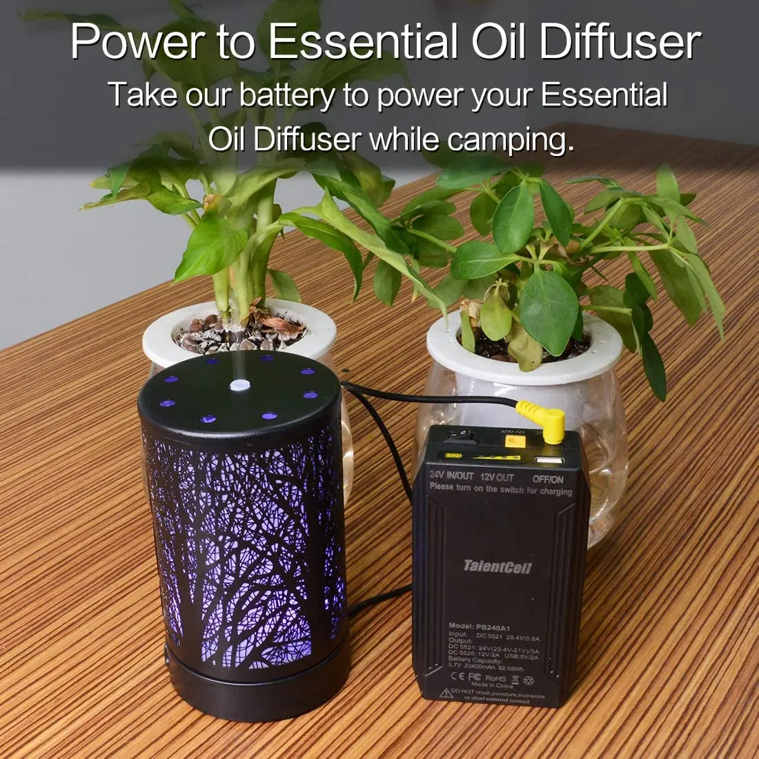 PB240A1 TalentCell 24V 3200mAh Lithium Ion Battery Rechargeable 25.9V 82.88Wh with DC 24V 12V And 5V Output Li-ion Batteries