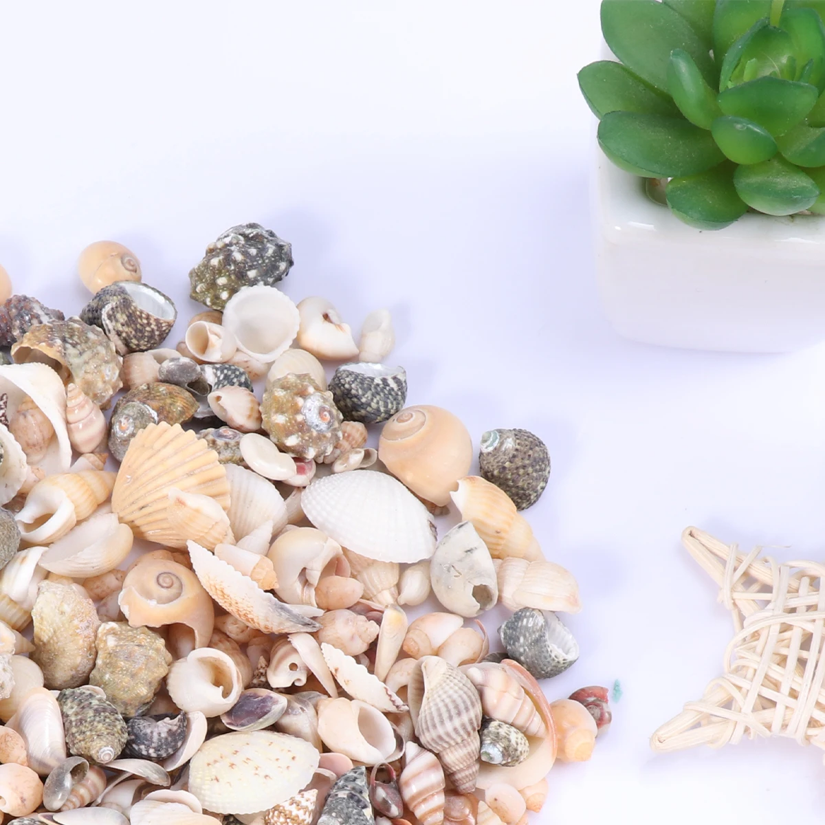 

Mini Shell Decoration Conch Ornaments Sea Style Landscape Accessories Fish Tank Decor Scenery Safe Aquarium Shells