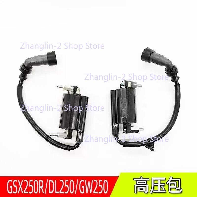 

Оригинальная катушка зажигания мотоцикла, левая и правая высоковольтная посылка для Suzuki GW 250 Inazuma 250 GSX250 GW250 DL250 DR300