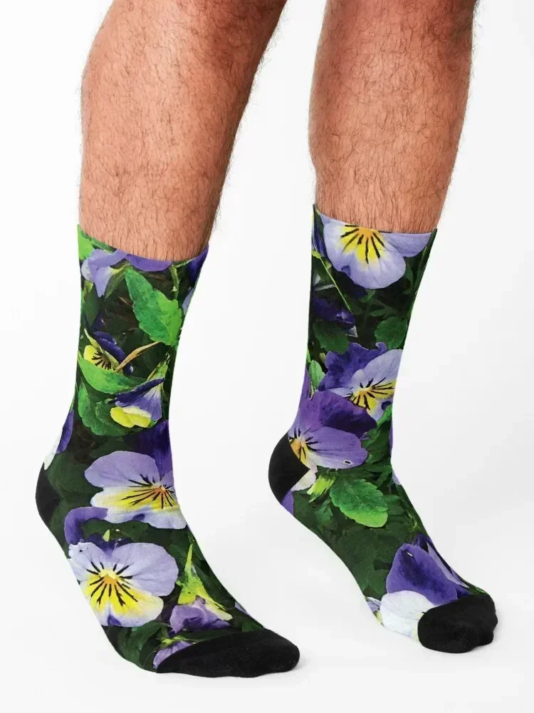 Pansies Socks halloween hiphop designer gift Socks Men Women's