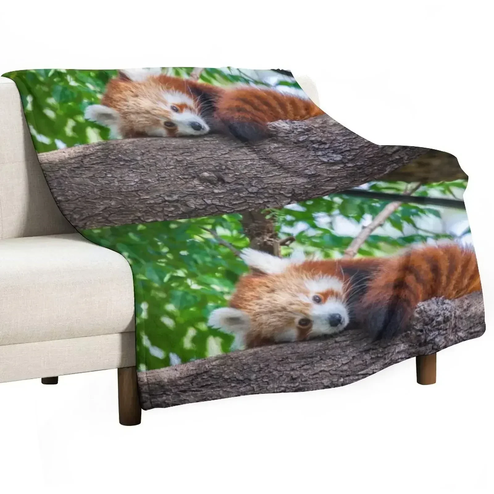 Red Panda Pose Throw Blanket Luxury St Blankets For Bed halloween Moving Blankets