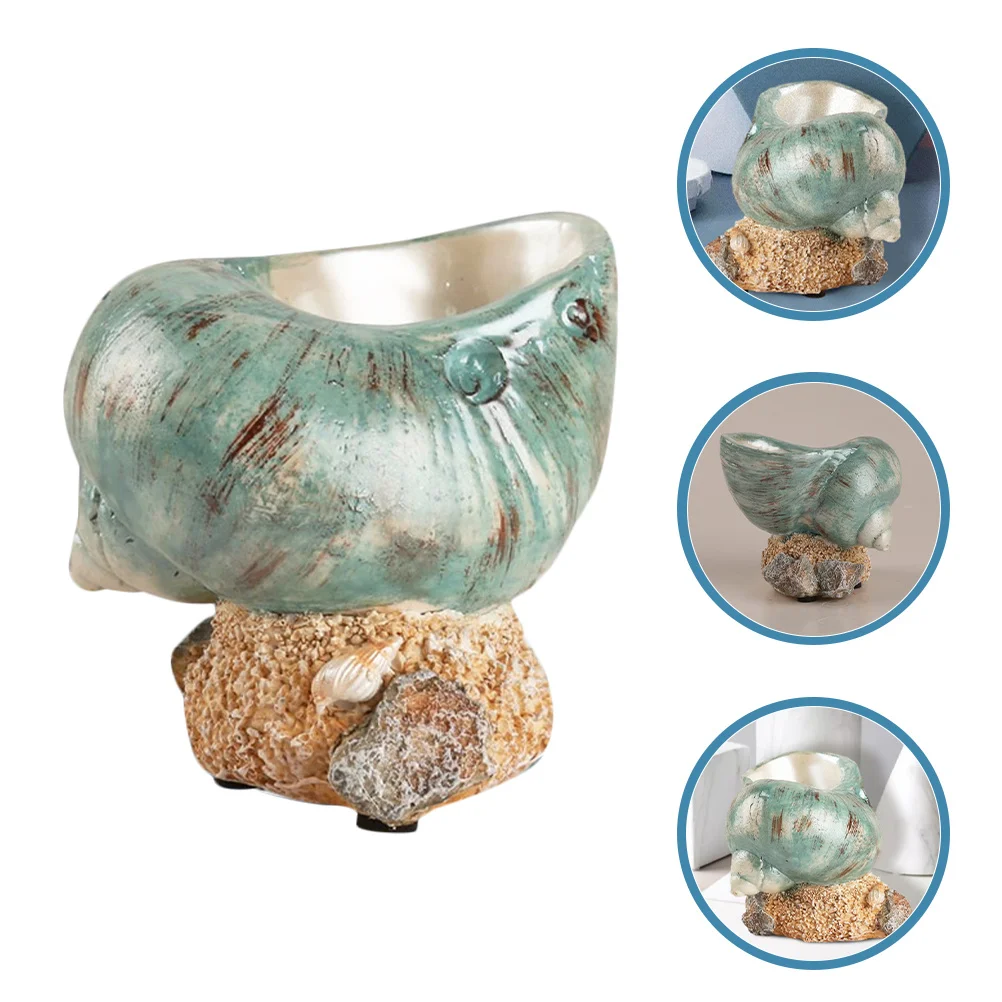 

Large Seashell Coastal Decor Big Conch Shell For Home Tabletop Desk Nightstand Diy Ocean Theme Beach Themed Ocean Decor Ornament