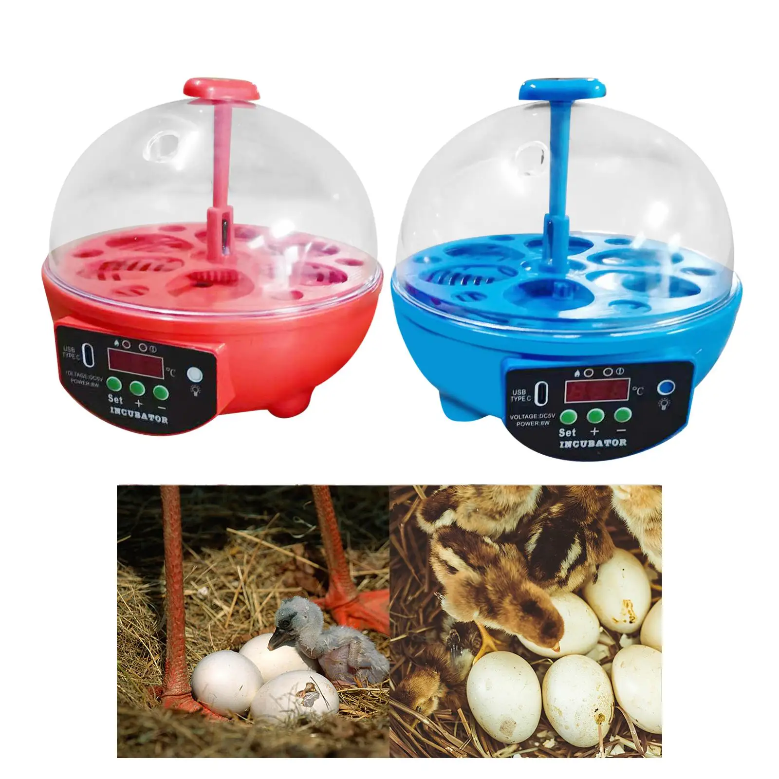 Egg Incubator, 6 Eggs Incubator for Hatching Eggs, Temperature Control and LED