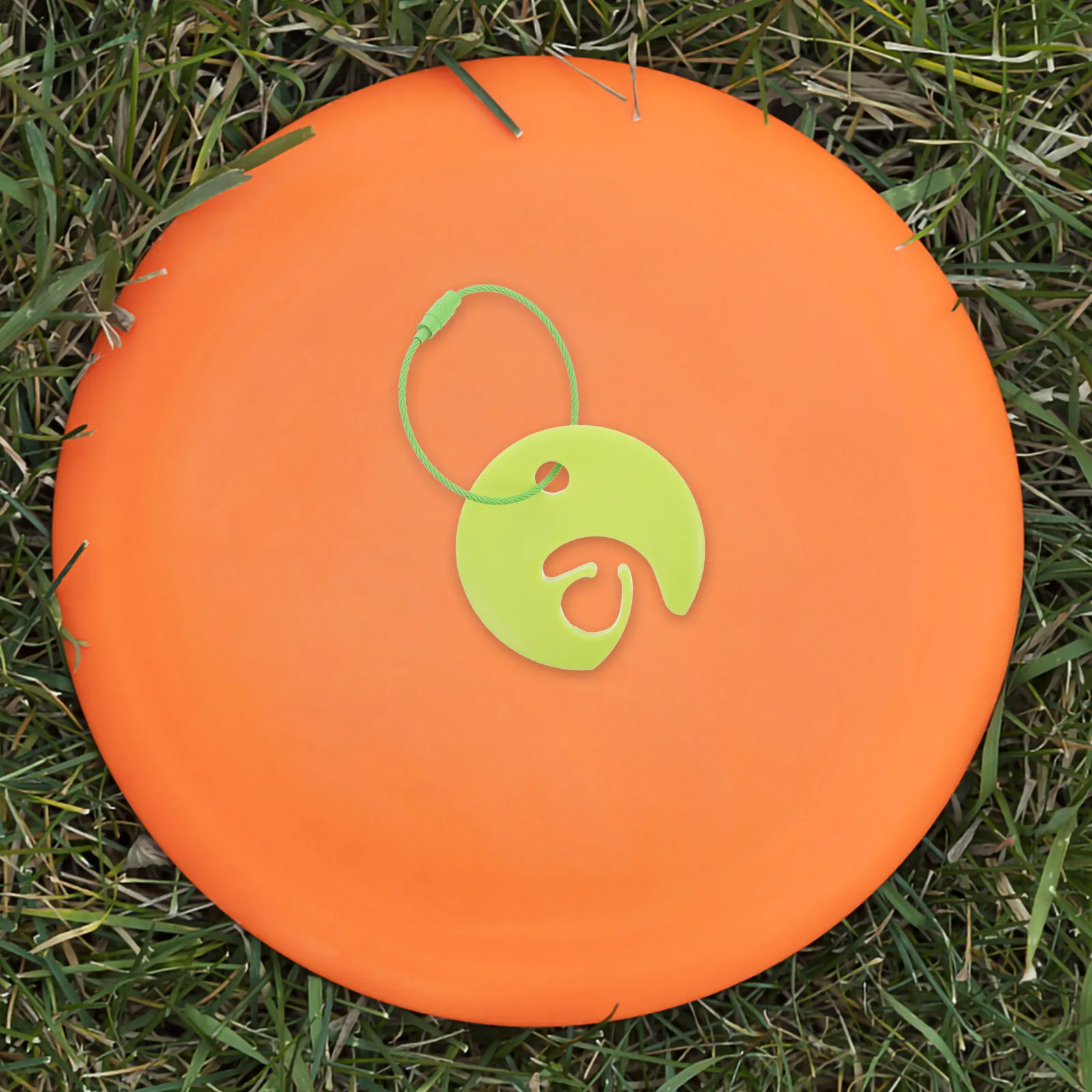 

Storage Pendant Convenient Disc Holder Flying Buckle Carrier Sports Plastic Portable Fold Outdoor Small