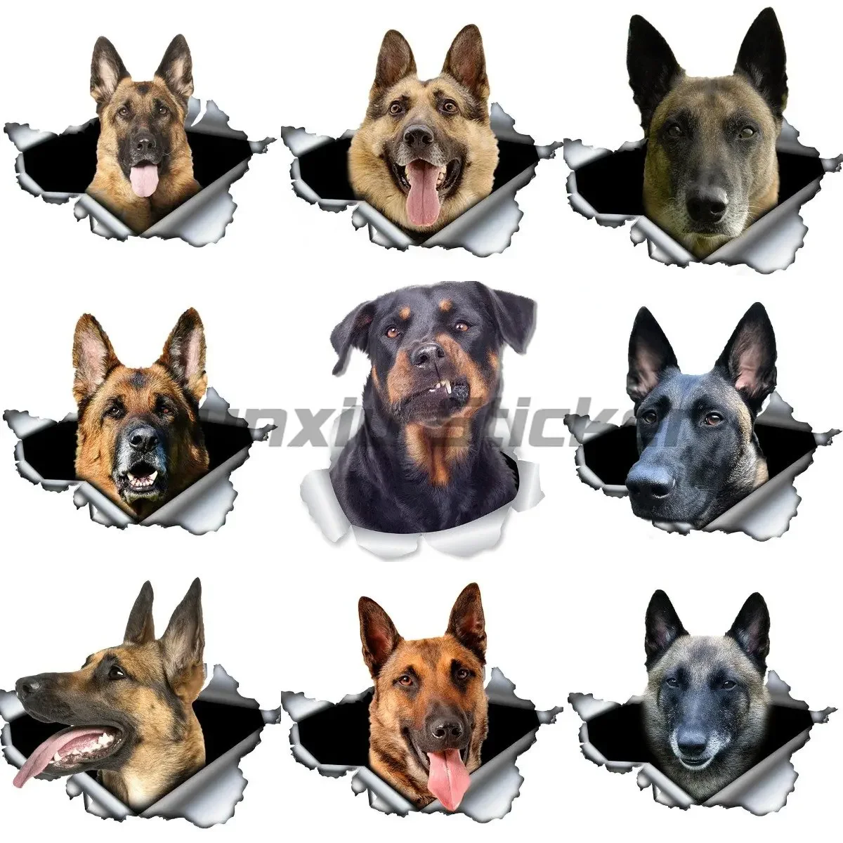 

Belgium German Shepherd Dog Car Sticker Waterproof Auto Decors on Bumper Rear Window Laptop Helmet Fridge Door Bicycle Car Decal