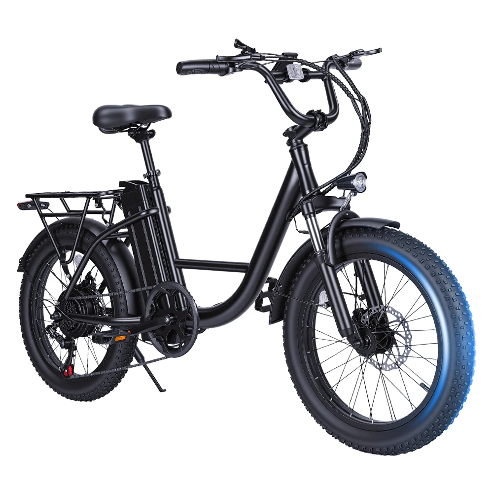

AiliFe 1000W Electric Bike 48V 15Ah Removable Battery 20''X3" Fat Tire Electric Bicycle 7-Speed E-Bike with Dual Disc Brake