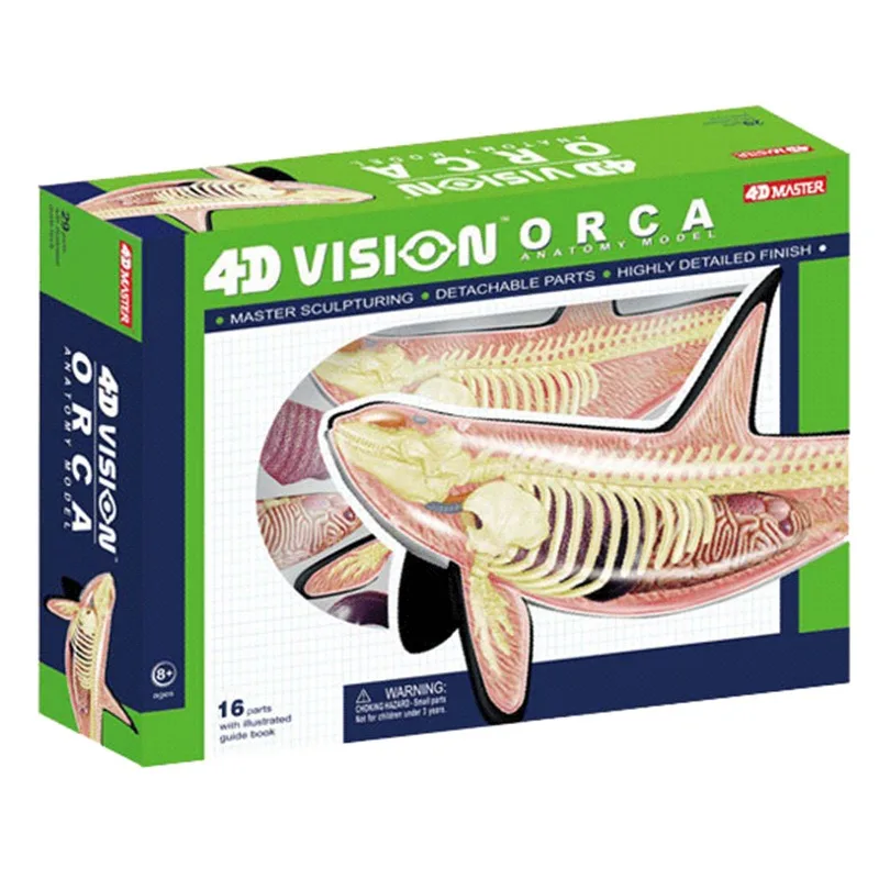 4D رؤية Orca الحوت الهيكل العظمي تشريح نموذج طبي لغز تجميع لعبة التشريحية التدريس المعونة مختبر معدات التعليم #1
