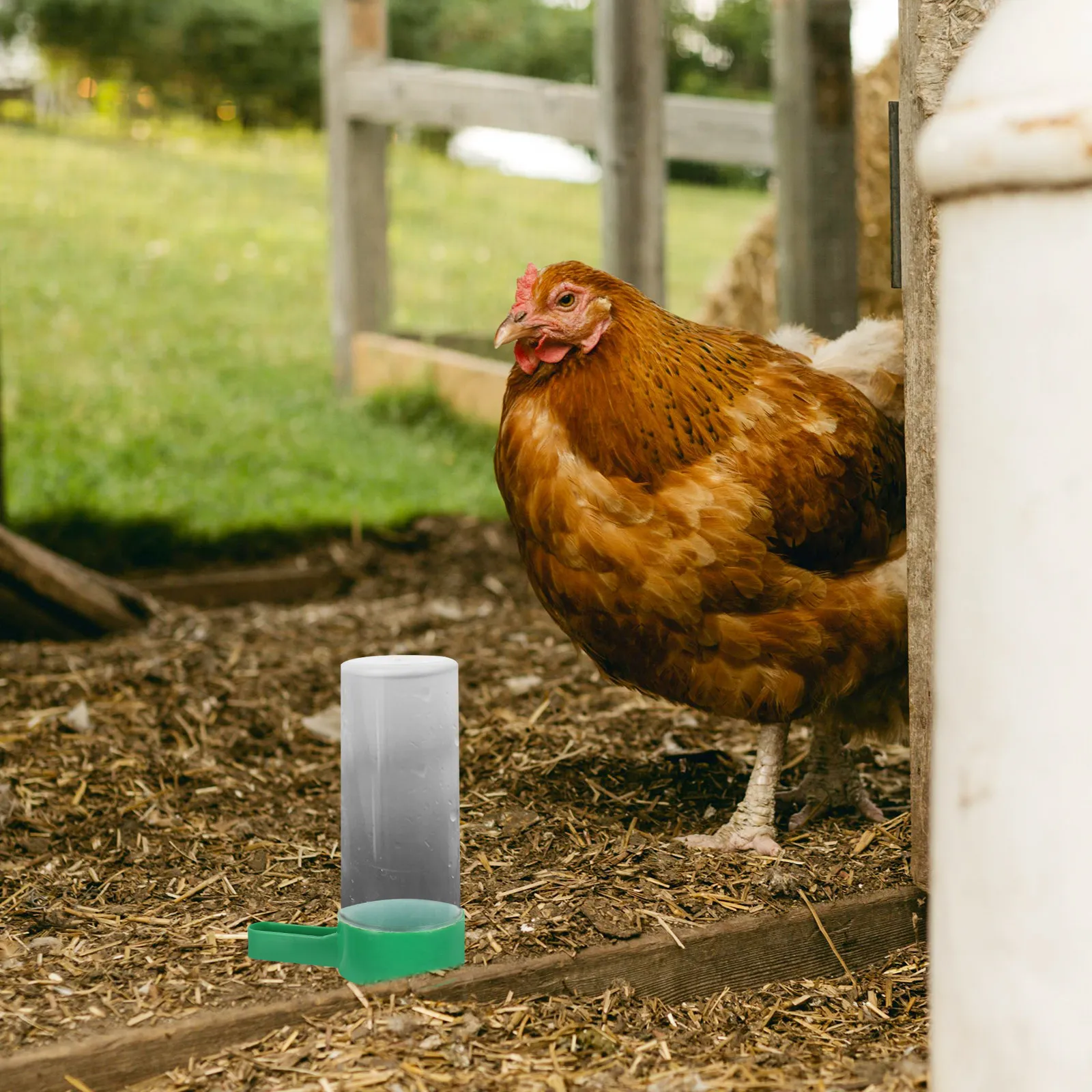 Poultry Feeding Trough for Chickens Ducks Geese Automatic Chick Feeder Anti-Spatter Design Stable Compact Easy Fill Clean