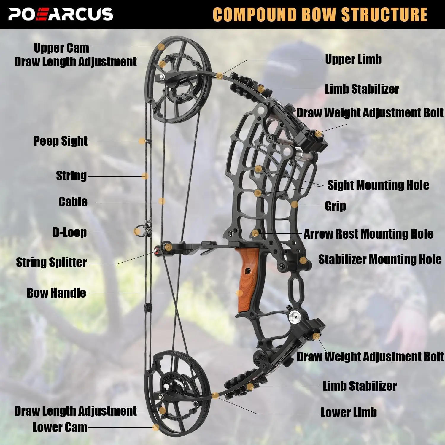 Dual-Purpose Compound Bow Set, 30-70 lbs Draw Weight, 25-30 in. Draw Length, Complete Ready-to-Hunt Kit