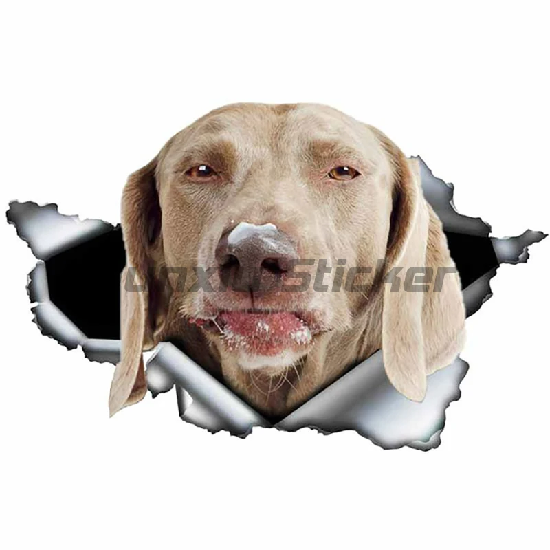 3D Dog Personality PVC Decal Weimaraner Vinyl Waterproof Car Sticker on Motorcycle Laptop Decorative Accessories