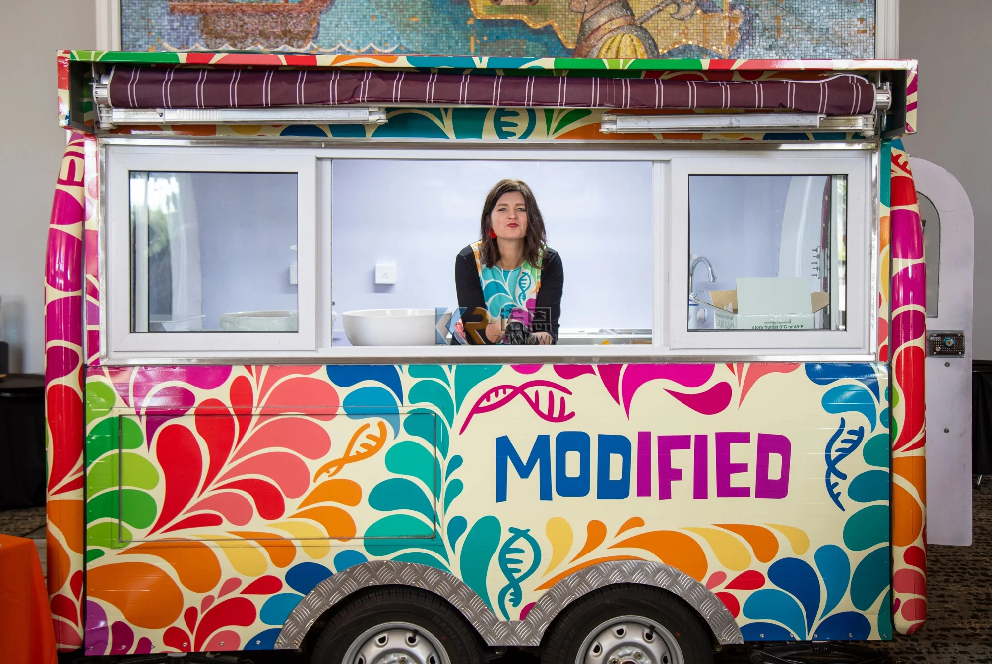 9,2 Fuß mobiler Küchen-Food-Anhänger, USA-Standard, Wohnmobil, voll ausgestatteter Hotdog-Saft, Kaffee-Food-Truck, Eiscreme-Verkaufswagen