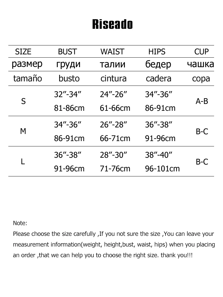 Riseado Sexy One Piece Swimsuit 2024 Swimwear Women Plunging Monokini Bathing Suits Women Black Single Piece Swim Suits New Mesh