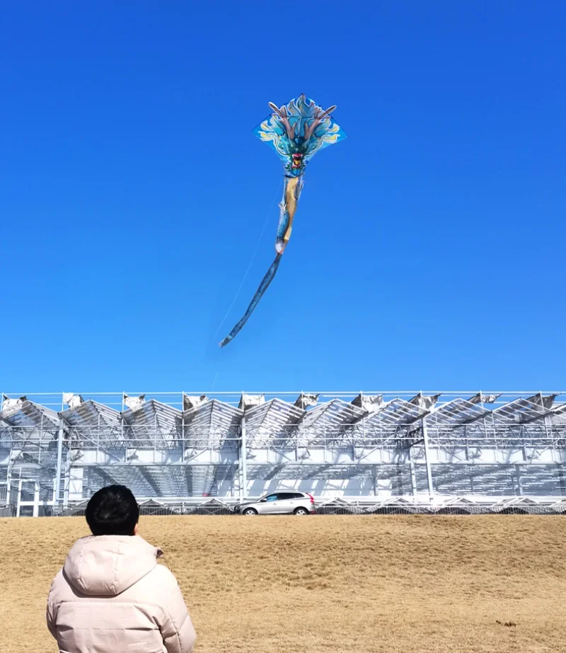 Darmowa wysyłka chiński smok olbrzym latawiec dla dorosłych latawiec profesjonalny kite na pokładzie smoka kite kite machine Air bounce