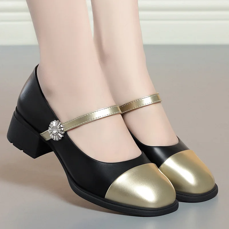 

4cm All Match Mix Color Comfortable Shallow Mouth Soft Leather Mary Janes 2025 Fall Square Heels Shoes for Office Daily Work Mom