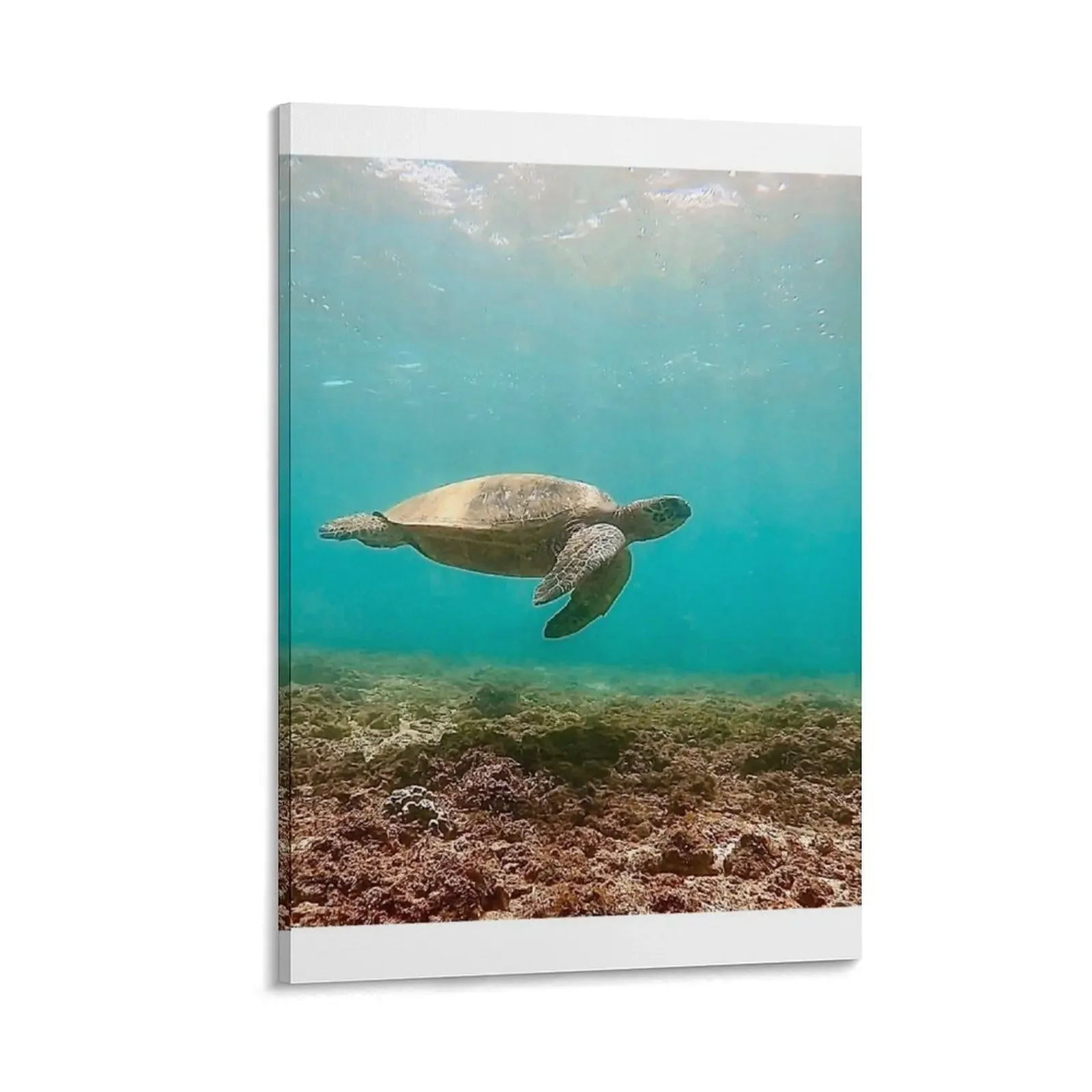 

Swim session Canvas Painting posters posters for room wall decor canvas wall art