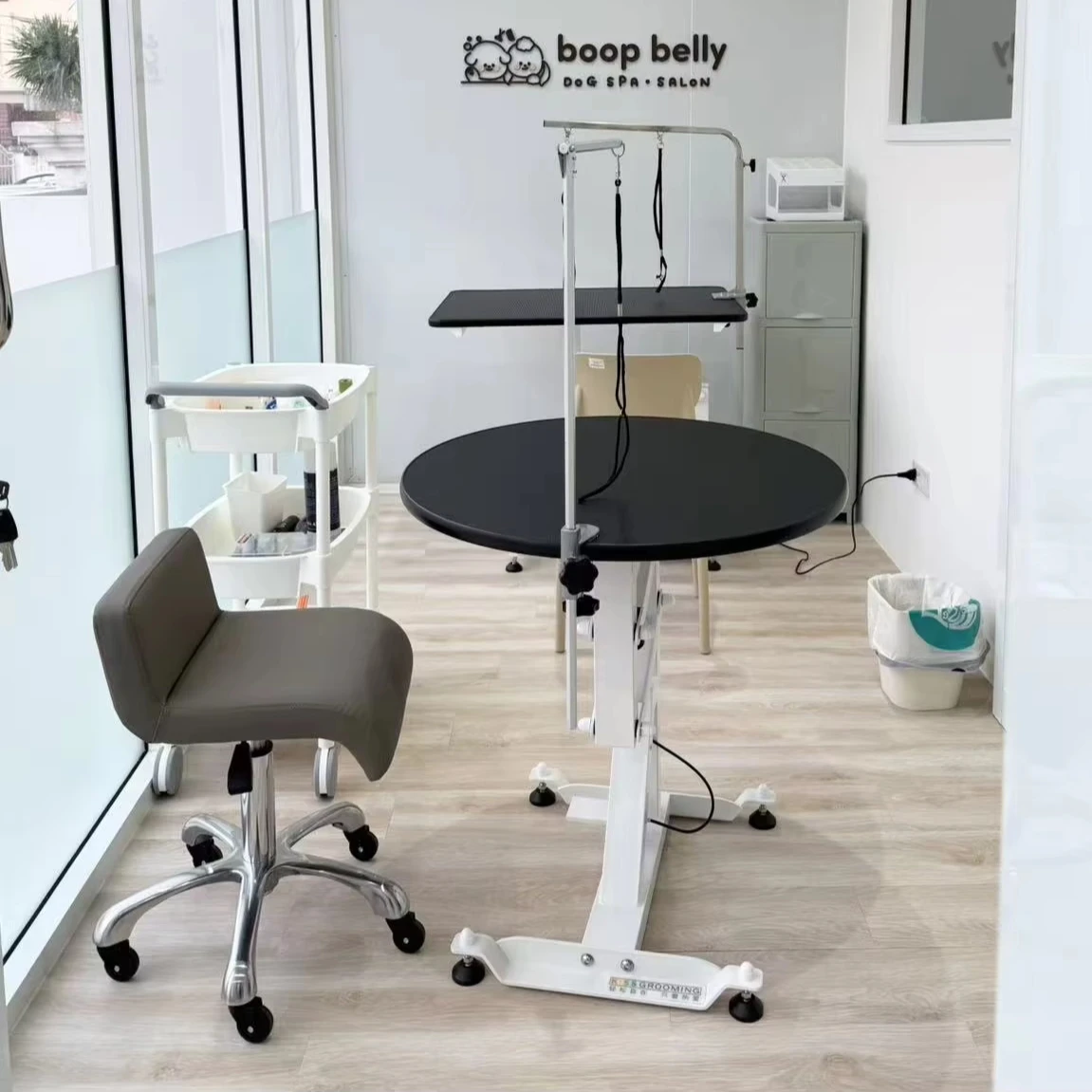 

Small Round Pet Grooming Table Aesthetic Design Pet Electric Height-adjustable Hair Trimming Table