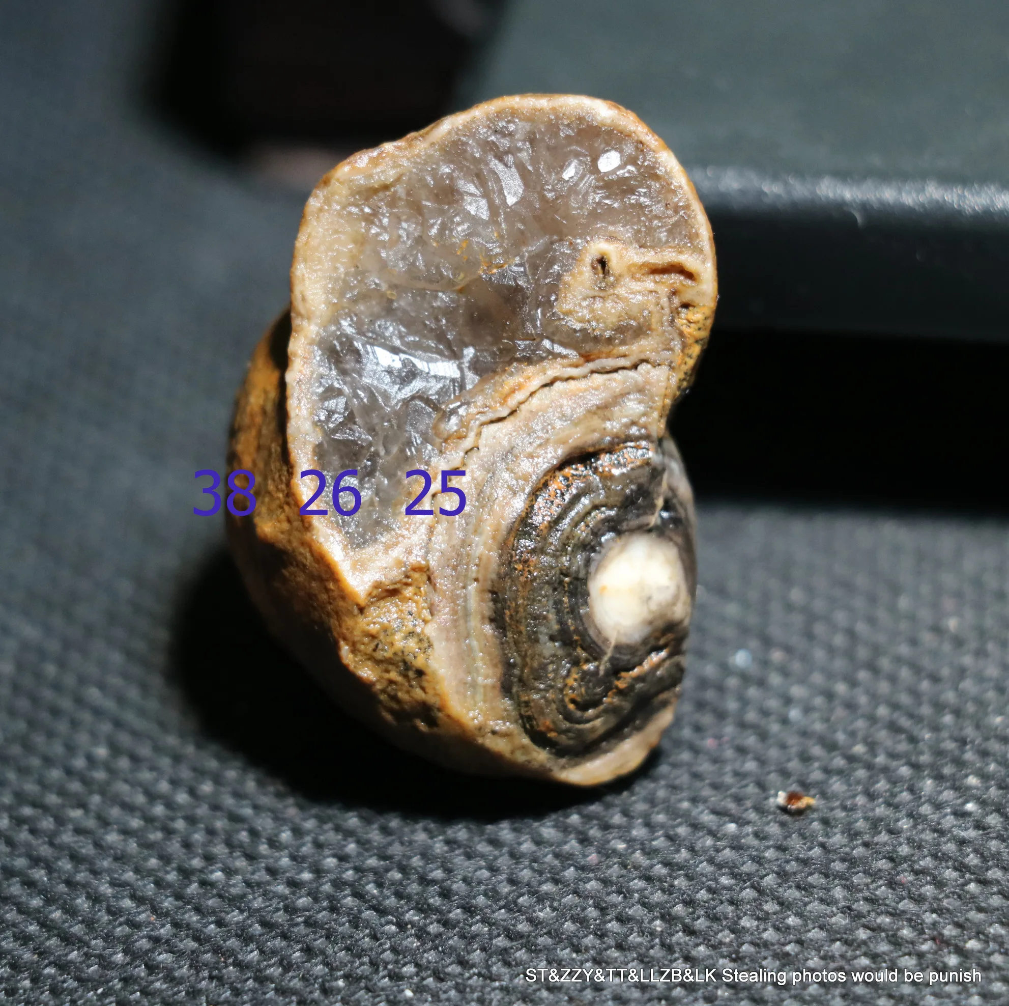 A Big Treasure Energy Chinese Desert Alashan Gobi Agate Natural Eyes Snail Shape Cool Appearance For Display No Hole UPD0522V82