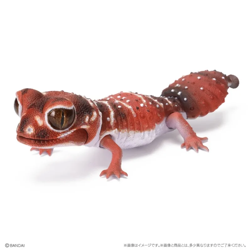 Original Bandai Gashapon Big Biological Map A Round-tailed Leopard Gecko Lizard Animal Action Figure Model Toys Gifts Collection