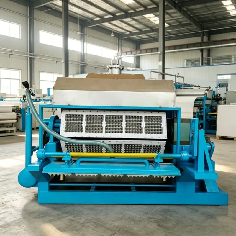 High Output Pulp Molding Egg Tray Machine Continuous Working Motor Drive Industrial Production Line With Customized Tray Pattern