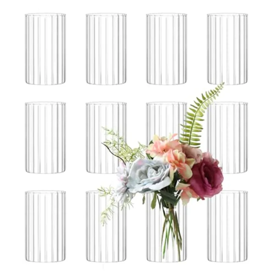 12Pcs Glass Cylinde…
