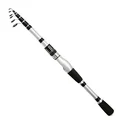 Spinning Rod