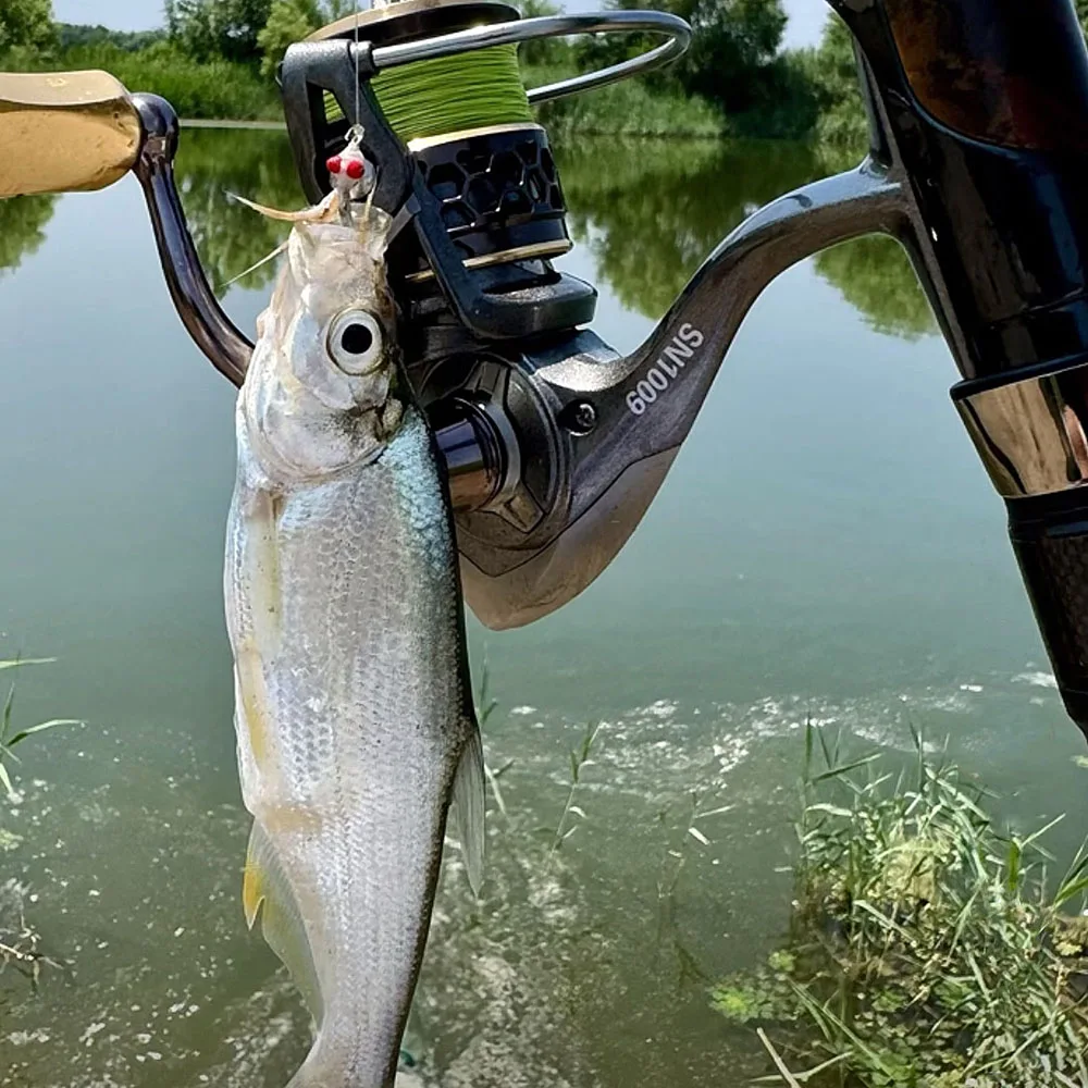 MNFT 8# 5Pcs/Box Flies Barbed Hook Trout Fishing Fly Lure Fresh Water White Nymphs Bait