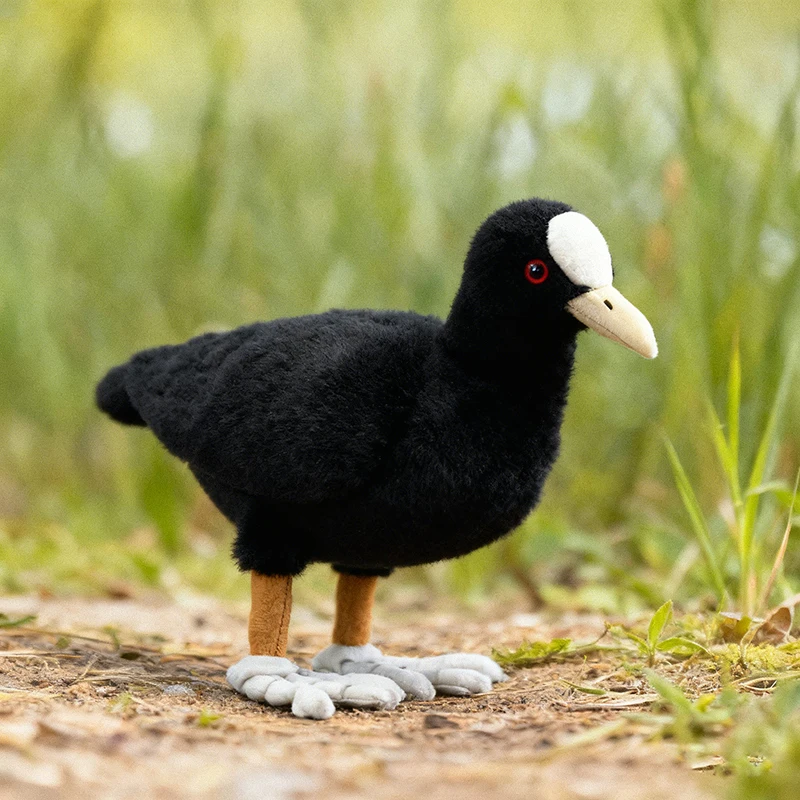 

Милая плюшевая игрушка Coot, высококачественная реалистичная мягкая черная полностью мягкая кукла, реалистичная имитация животного, модель в подарок