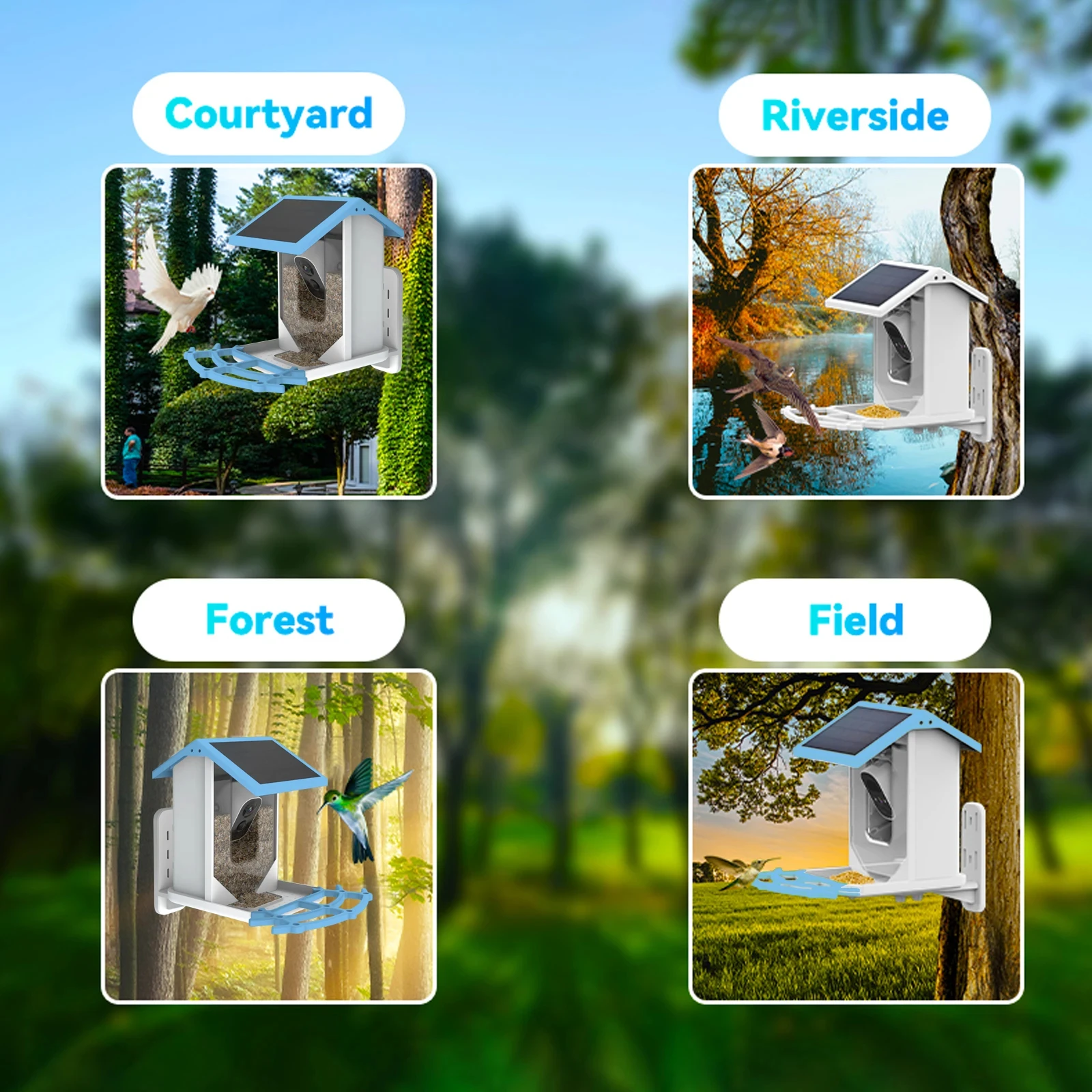 Фидер для птиц, 2,4 л, 4 МП, Wi-Fi