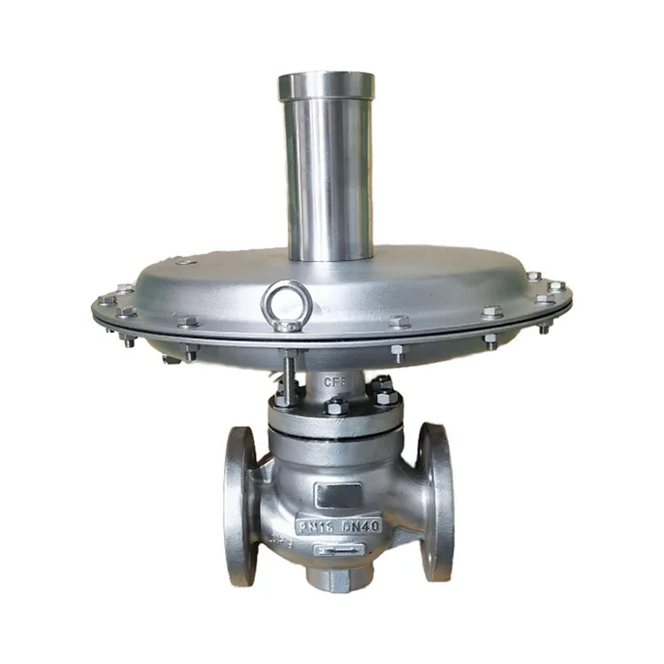 

Stainless Steel Pressure Regulator Valve for Pressure Reducing