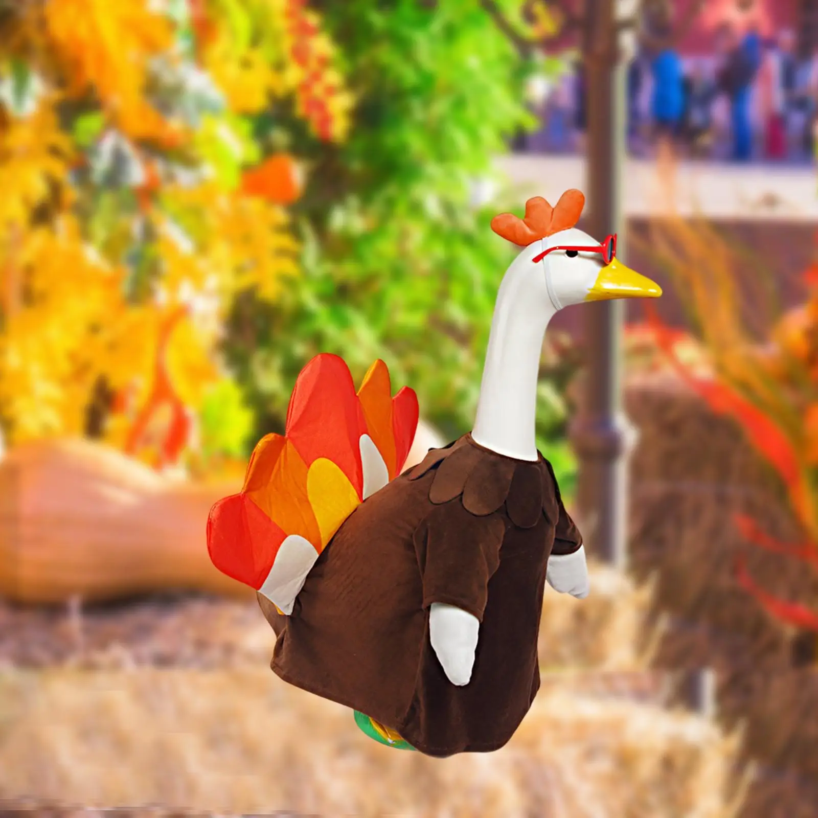 

Забавный комплект одежды из индейки и гуся с перьевой короной и очками, садовые украшения для уличного патио, декора заднего двора