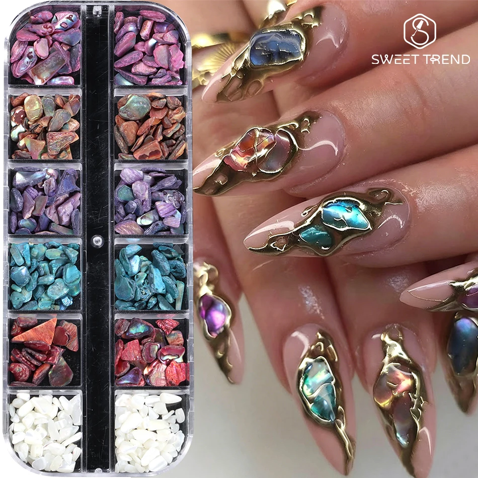 12 Grids Nail Art Aurora Abalone Shell Flakes 3D Charms Irregular Seashell Fragment Aurora Slices DIY Manicure Decor Accessories