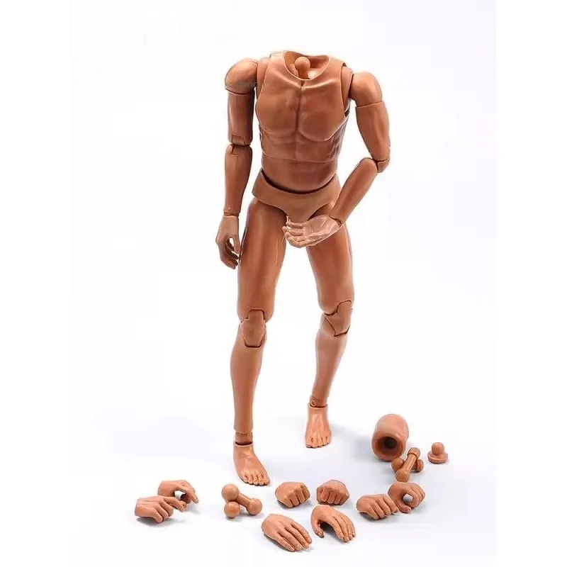 

CKTOYS 1/6 Scale Male Soldier Muscle Narrow Shoulder Movable Joint Body Model for 12" HT DAM Head Carving Action Figures