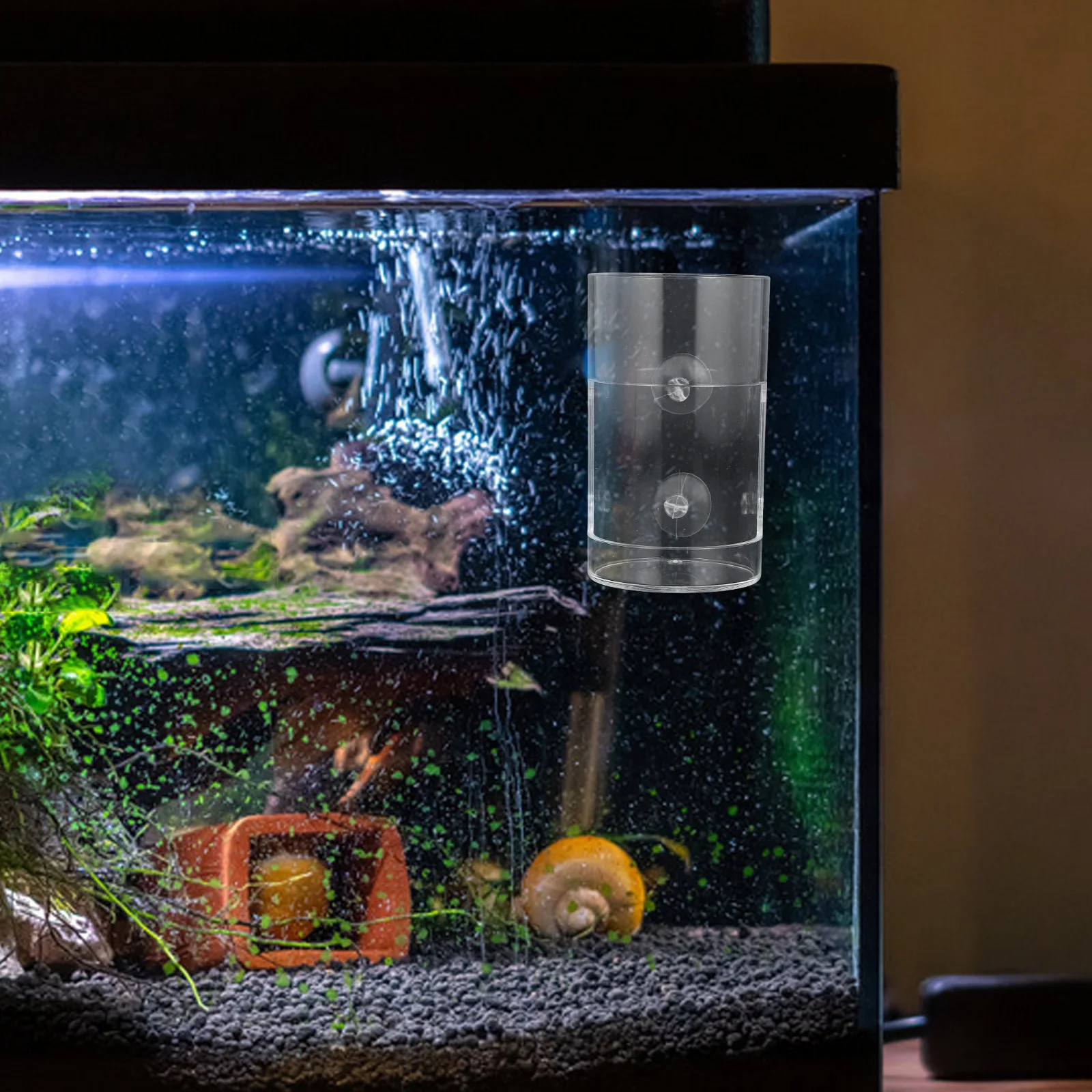 

Acrylic Fish Feeder Clear Aquarium Shrimp Betta Feeding Dish Tool Suction Cup Attachment Shrimp Feeder Acrylic Fish Feeding Dish