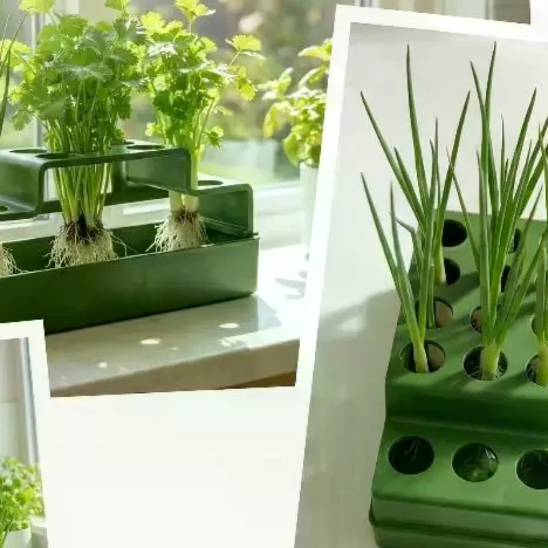 EcoFriendly Hydroponic Green Onion Planter Water Saving Planting Device for Home Indoor Fresh Vegetable Cultivation
