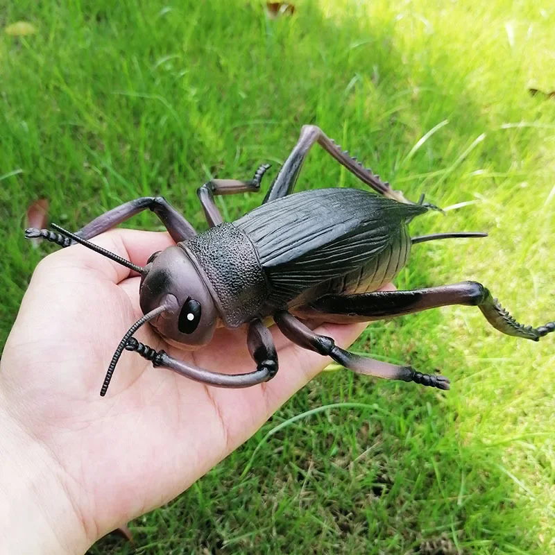 Simulación de insectos, juguete de animales pequeños, hormiguero, Grillo, Araña, escorpión, mariquita, modelo de Animal de simulación, adornos para el jardín del hogar, estatuas