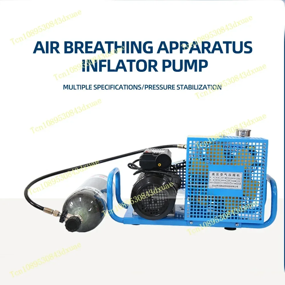 High Pressure Air Pump Submersible inflatable pump Electric Air Compressor oxygen cylinder Inflator Air Pump